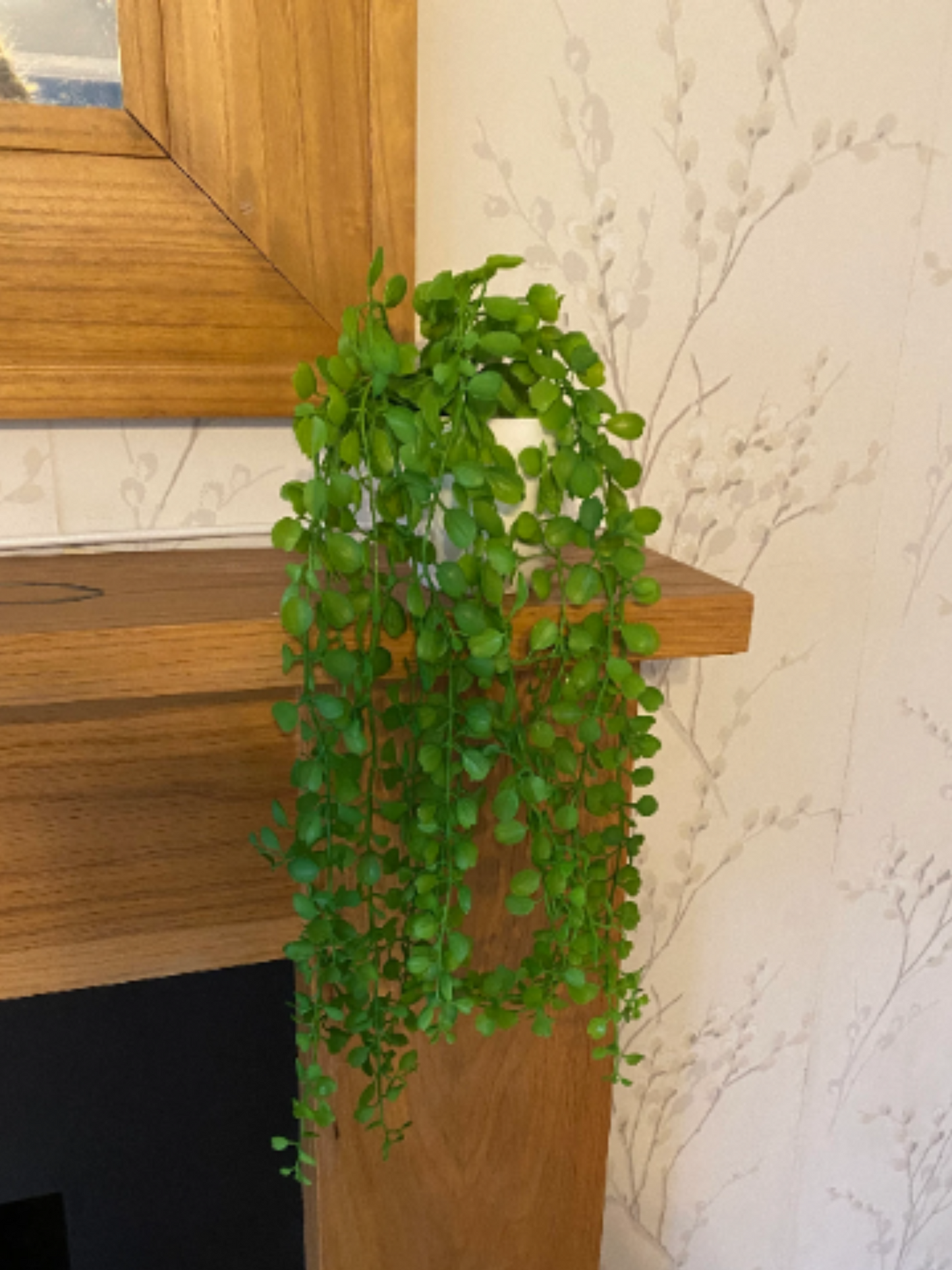 Potted Plastic Trailing Plant with Succulent Green Foliage